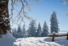 英雄联盟全球总决赛冠亚军决赛四川打响