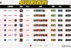 LOL换线创始人拿下首胜！赛后采访泪洒赛场，自我点评：烂到流脓