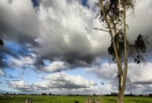 周日021 英超 阿森纳VS曼彻斯特城 天王山之战